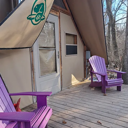 Cozy cabin with purple chairs